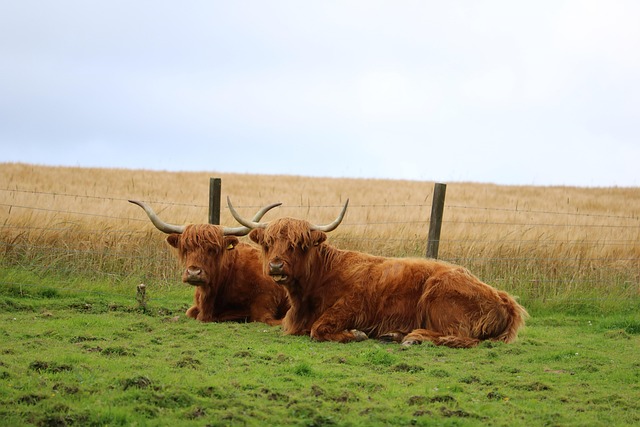 highland-kaiser-psychologist-640x480-10637063.jpeg