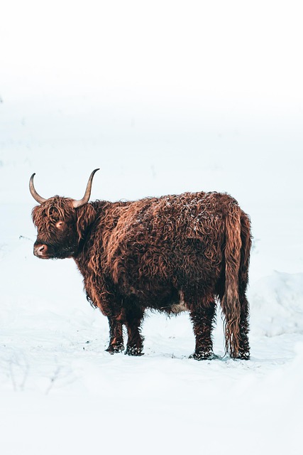highland-kaiser-psychotherapist-640x480-27887533.jpeg