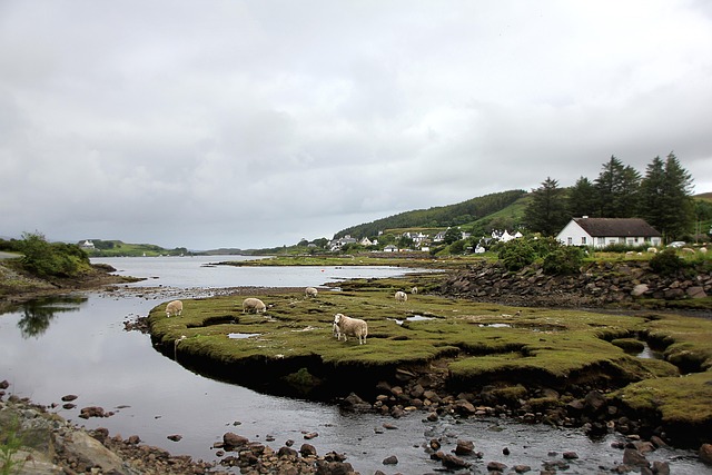 Uncover Highlands’ Magic: Small-Group Tour with Kaiser Counselor