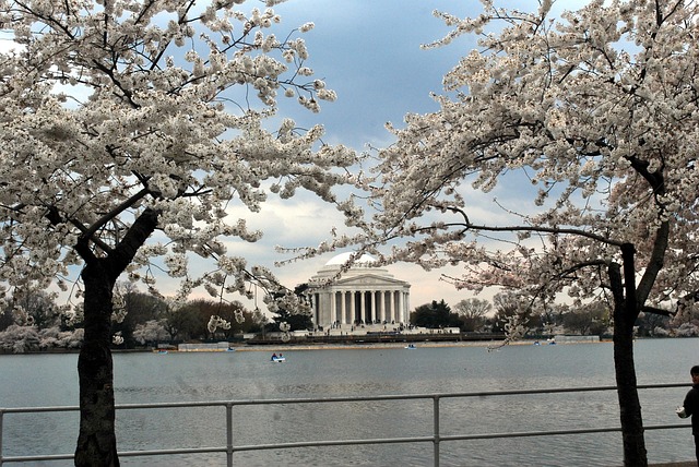 jefferson-park-kaiser-counselor-640x480-83010683.jpeg