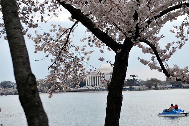 Schedule Therapy at Kaiser Permanente Jefferson Park: Your Guide