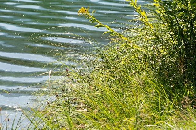 lakeside-kaiser-permanente-counselor-640x480-97727802.jpeg