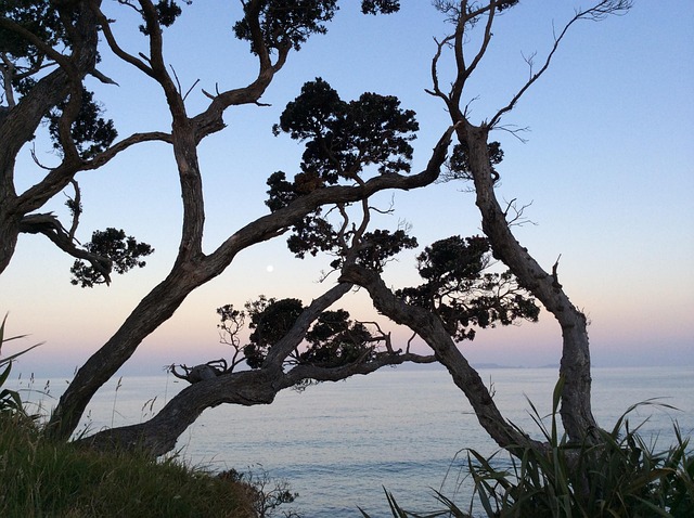 lakeside-kaiser-permanente-psychologist-640x480-58004838.jpeg