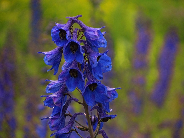 larkspur-kaiser-counselor-640x480-45657954.jpeg