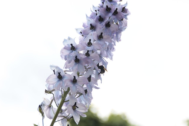 larkspur-kaiser-counselor-640x480-69176982.jpeg