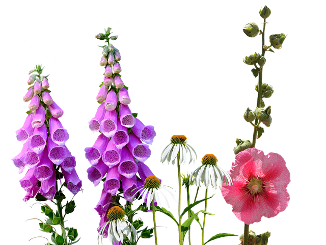 larkspur-kaiser-family-counselor-640x480-67210110.png