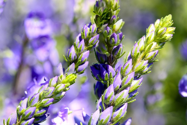 larkspur-kaiser-permanente-counselor-640x480-39383749.jpeg