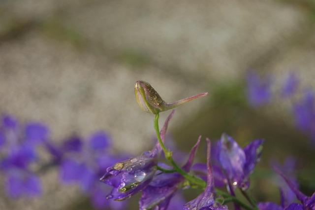 larkspur-kaiser-permanente-counselor-640x480-62902670.jpeg