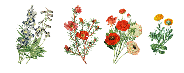 larkspur-kaiser-permanente-family-counse-640x480-71451859.png