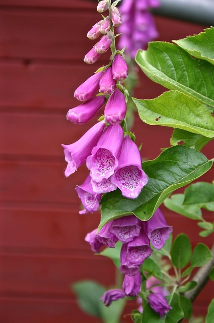 larkspur-kaiser-permanente-psychotherapi-640x480-87793387.jpeg