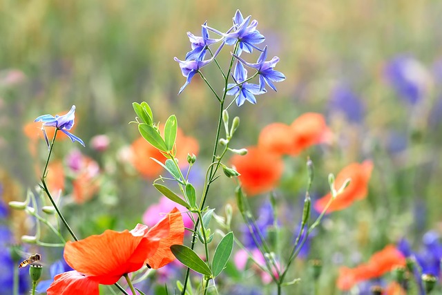 larkspur-kaiser-permanente-psychotherapi-640x480-8869850.jpeg