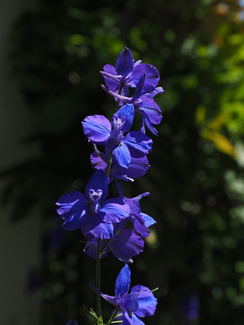 larkspur-kaiser-psychotherapist-640x480-80963322.jpeg