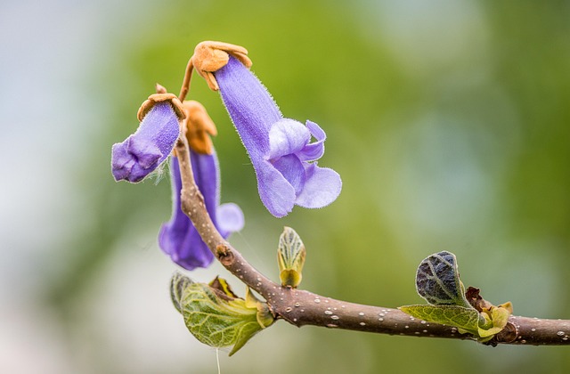 Find Healing with Littleton Kaiser Permanente Psychotherapists