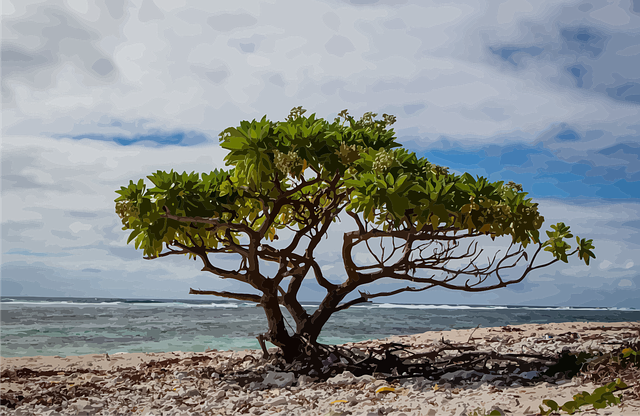 lone-tree-kaiser-child-psychologist-640x480-29496075.png