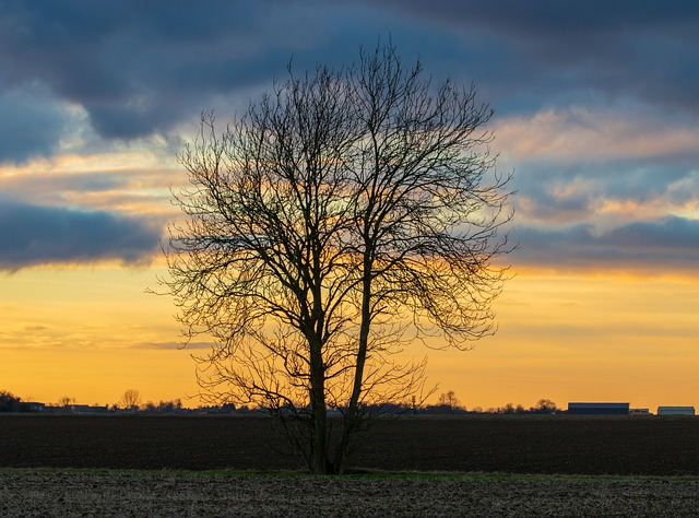 lone-tree-kaiser-counselor-640x480-8217188.jpeg