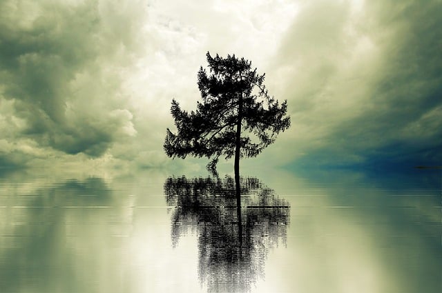Lone Tree Kaiser Permanente Child Psychologist