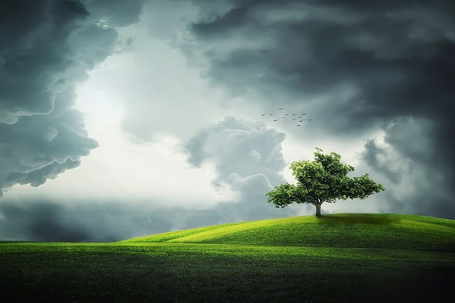 Lone Tree Kaiser Permanente Child Psychologist