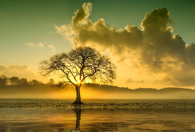 Lone Tree Kaiser Permanente Child Psychologist