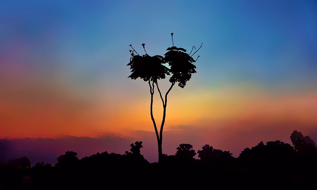 Lone Tree Kaiser Permanente Child Psychologist