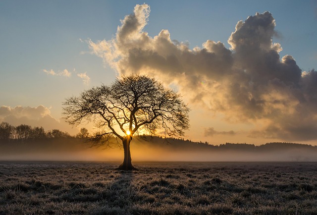 Lone Tree Kaiser Permanente Child Psychologist