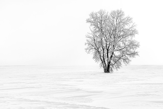 Lone Tree Kaiser Permanente Child Psychologist