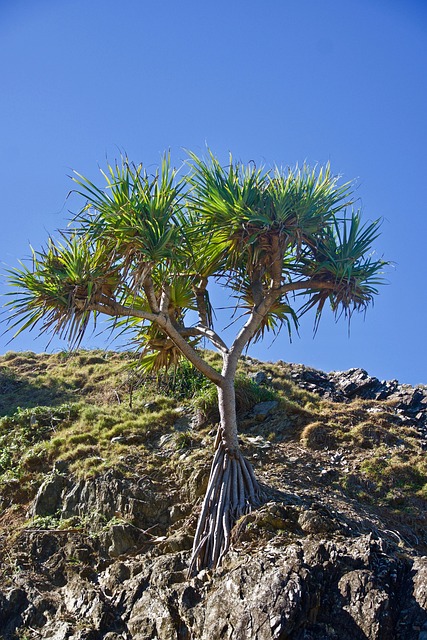 Lone Tree Kaiser Permanente Child Psychologist