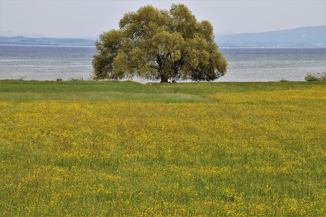 Lone Tree Kaiser Permanente Child Psychologist