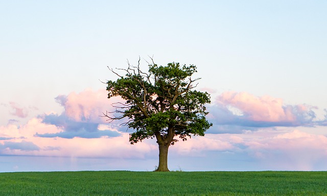 lone-tree-kaiser-permanente-counselor-640x480-75536493.jpeg