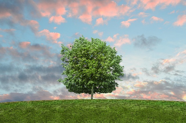 lone-tree-kaiser-permanente-family-couns-640x480-10924271.jpeg