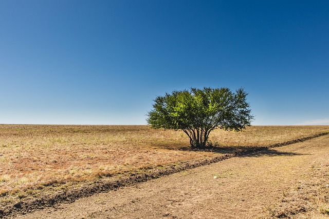 lone-tree-kaiser-permanente-psychiatrist-640x480-27790308.jpeg
