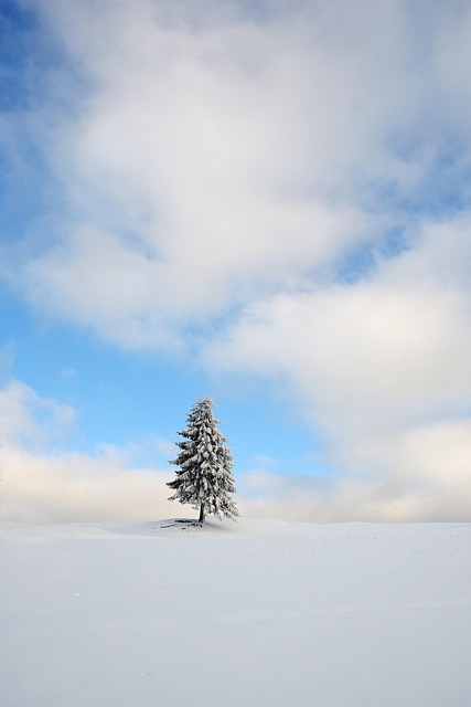 Lone Tree Kaiser Permanente Psychiatrist: Personalized Medication Management