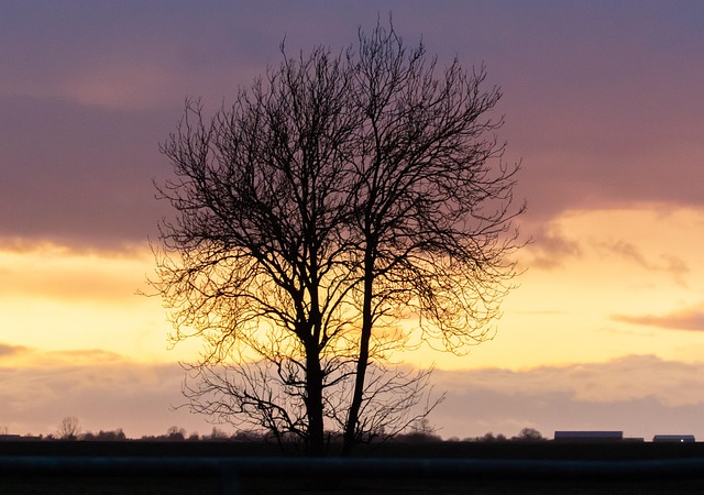 Connect with Lone Tree Kaiser Permanente Psychologist for Relief