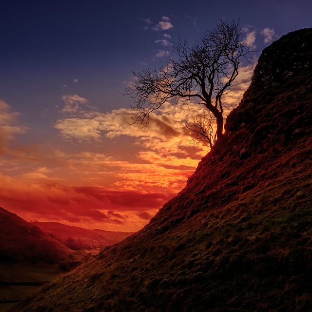 lone-tree-kaiser-permanente-psychologist-640x480-53783718.jpeg