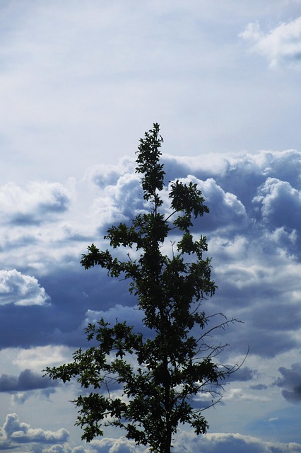 lone-tree-kaiser-permanente-psychologist-640x480-72663065.jpeg