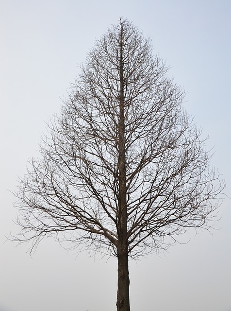 Boost Self-Esteem with Lone Tree Kaiser Permanente Psychotherapist