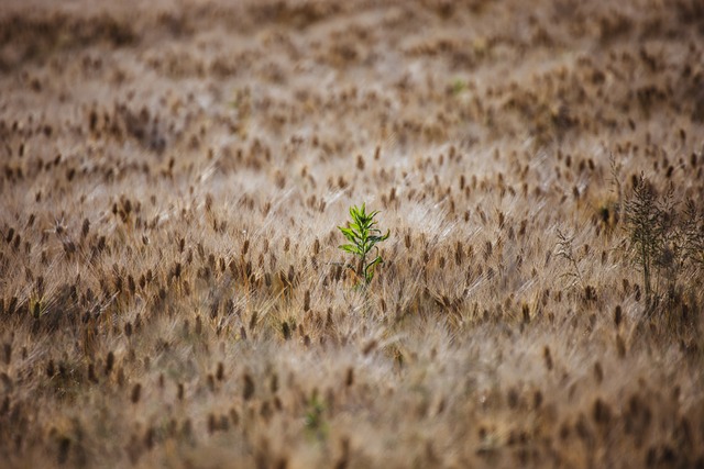 Lone Tree Kaiser Permanente Psychotherapist: Depression Relief Specialist