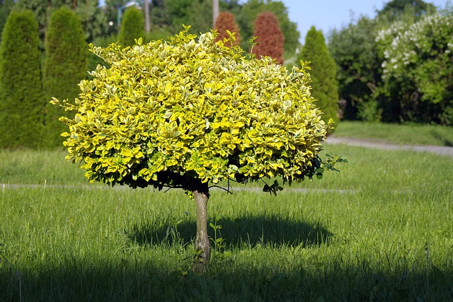 lone-tree-kaiser-permanente-psychotherap-640x480-69897602.jpeg