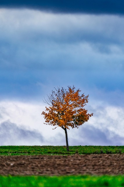lone-tree-kaiser-permanente-psychotherap-640x480-82942328.jpeg