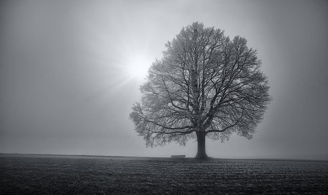 lone-tree-kaiser-psychiatrist-640x480-68999023.jpeg