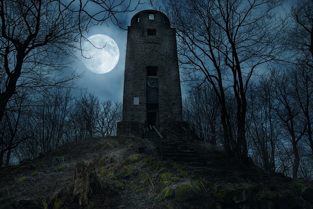 lone-tree-kaiser-psychotherapist-640x480-35817368.jpeg
