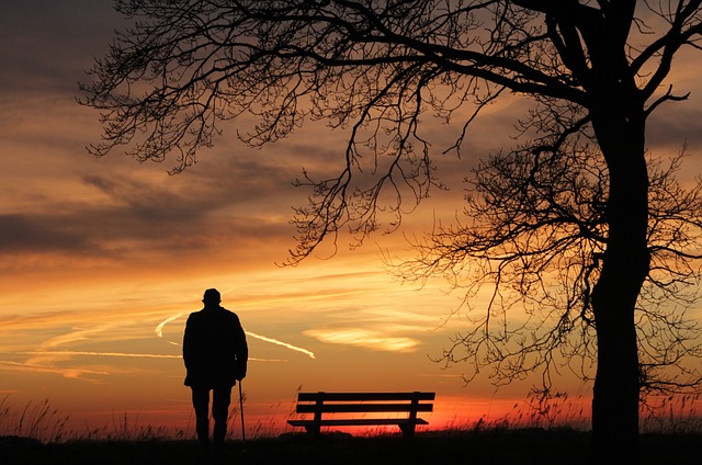 lone-tree-kaiser-psychotherapist-640x480-53250353.jpeg