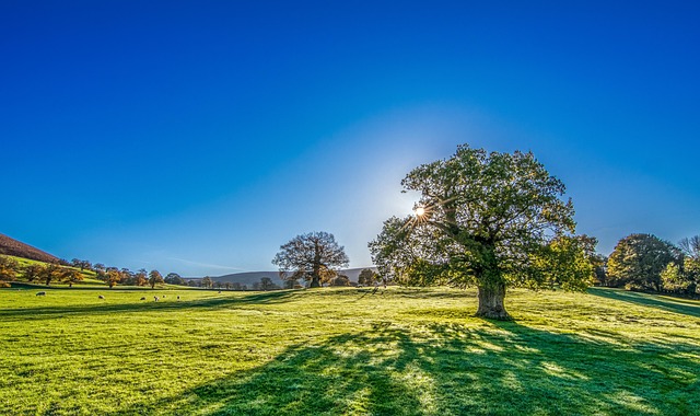 meadow-hills-kaiser-permanente-counselor-640x480-20335520.jpeg