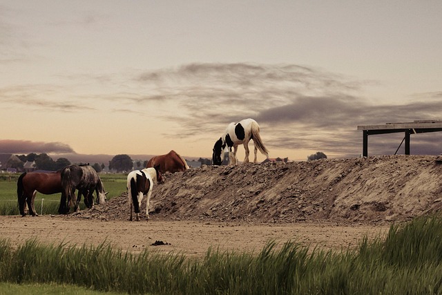 meadow-hills-kaiser-permanente-family-co-640x480-64051804.jpeg