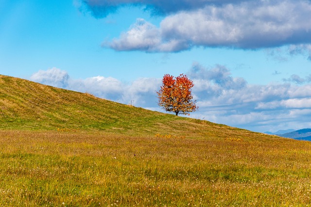 meadow-hills-kaiser-permanente-psycholog-640x480-15323722.jpeg