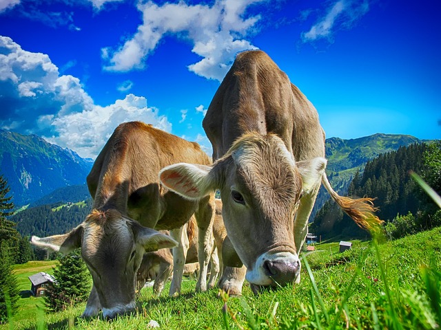 meadow-hills-kaiser-permanente-psycholog-640x480-31892032.jpeg