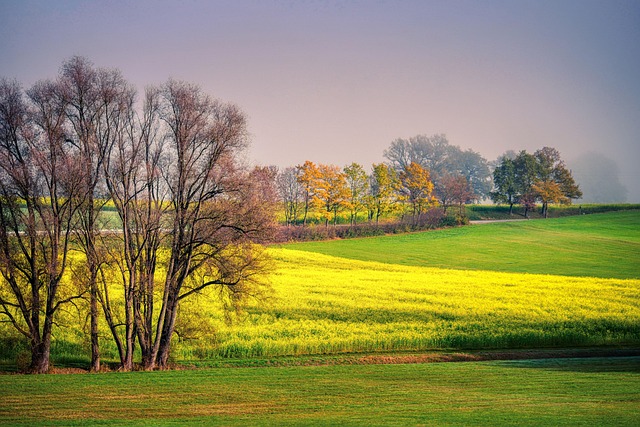 meadow-hills-kaiser-psychologist-640x480-67183536.jpeg