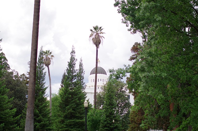 north-capitol-hill-kaiser-psychotherapis-640x480-53795351.jpeg