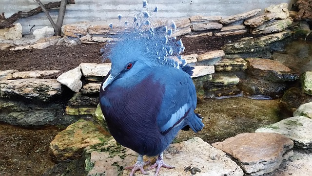 pheasant-run-kaiser-permanente-psycholog-640x480-821470.jpeg