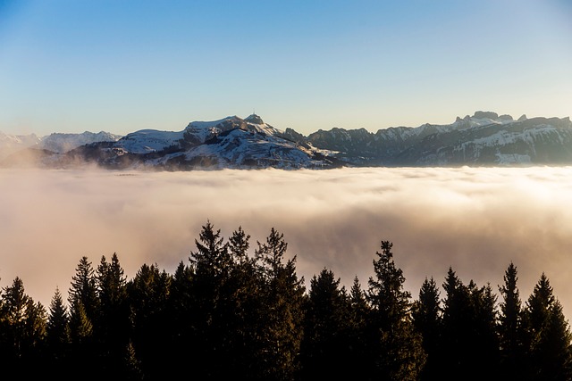 Connect with Pleasant View Kaiser Psychotherapist: Transform Today