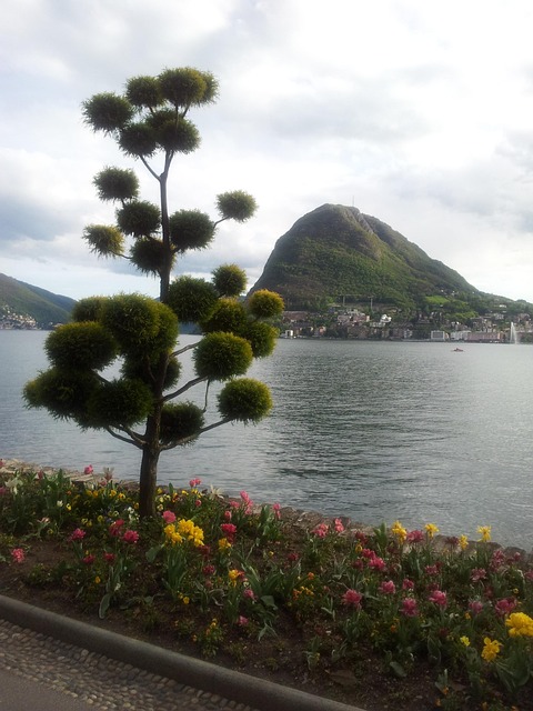 riverfront-park-kaiser-psychotherapist-640x480-60621734.jpeg
